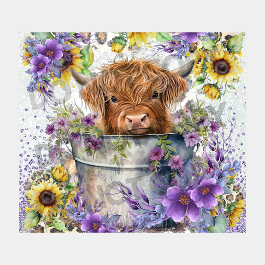 Baby Highland Cow Sublimation Tumbler Transfer