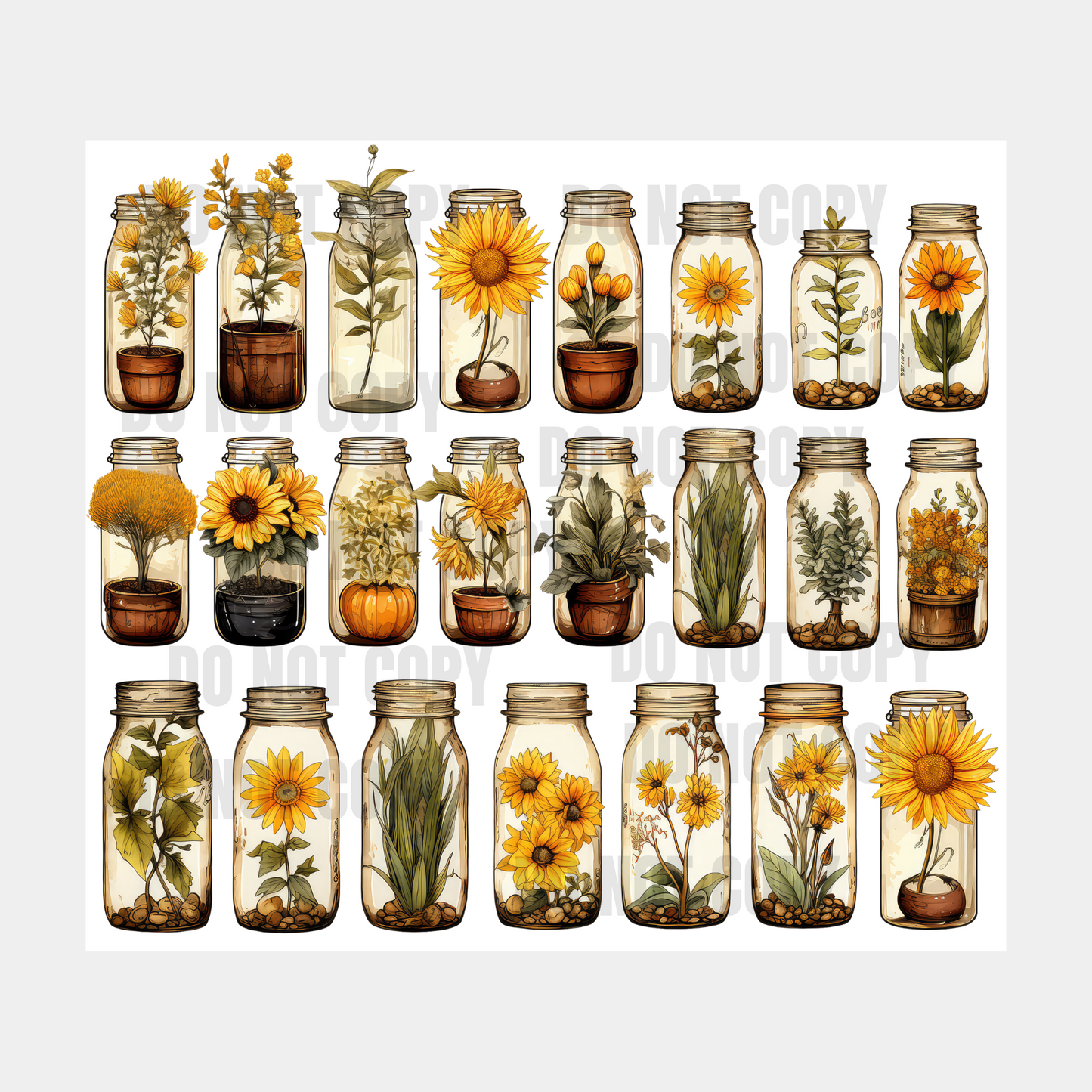 Sunflower Jars Sublimation Tumbler Transfer