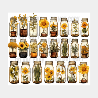 Sunflower Jars Sublimation Tumbler Transfer